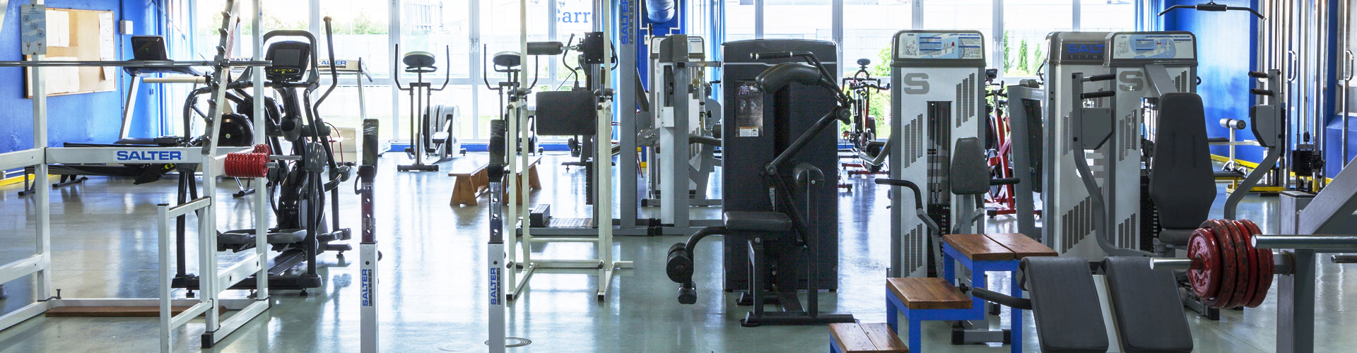 Gimnasio Gimnasio